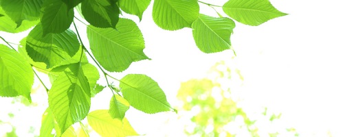 �T�C���n�b�N�iSIGN HACK�j�̔��T�C�g��